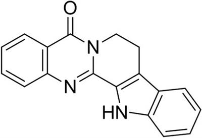 Rutaecarpine Ameliorates Ethanol-Induced Gastric Mucosal Injury in Mice by Modulating Genes Related to Inflammation, Oxidative Stress and Apoptosis